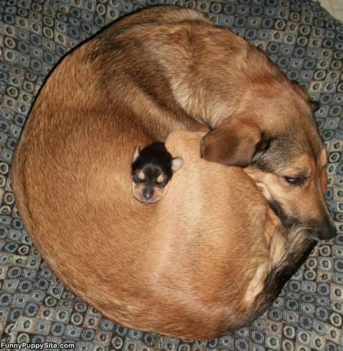 Warmest Safest Place