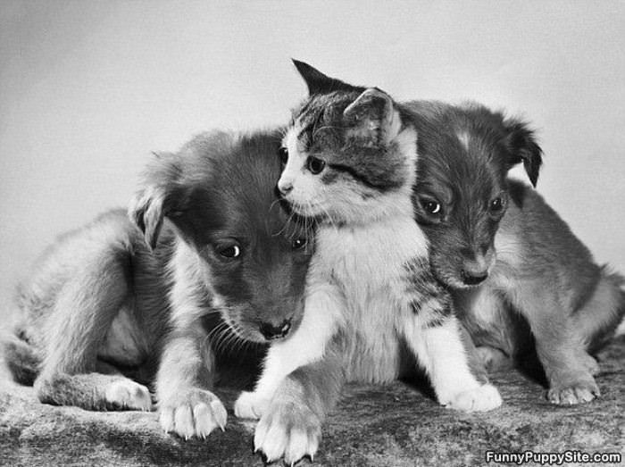 We Are Going To Be Friends