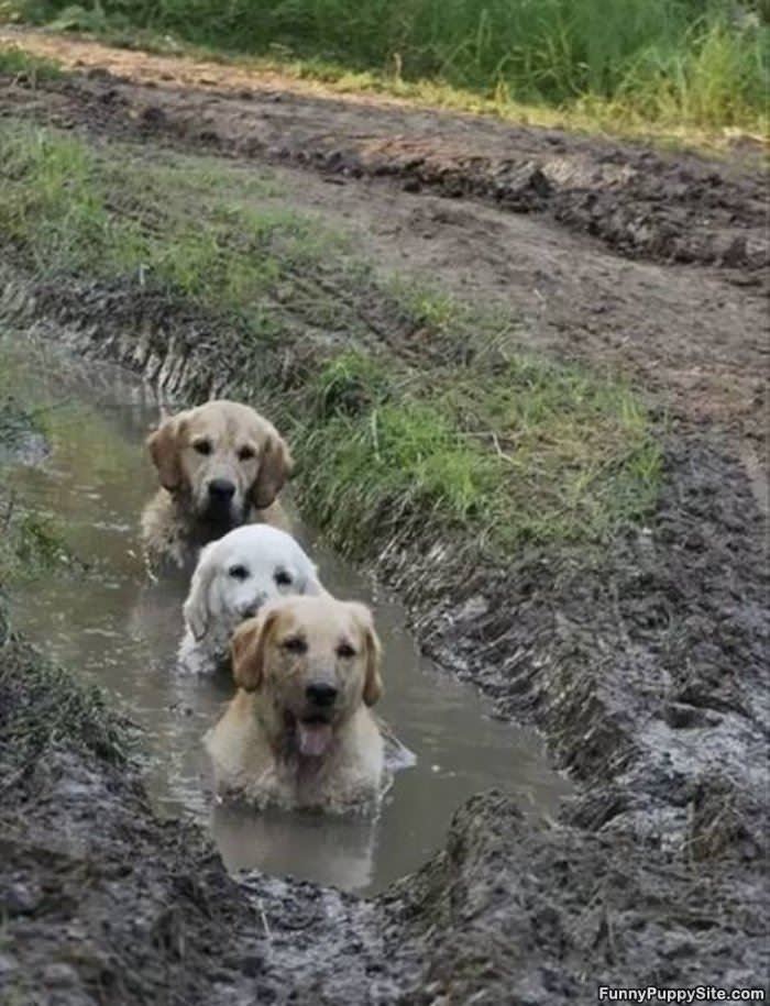 We Love The Mud