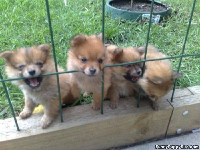 We Want Out Of Here