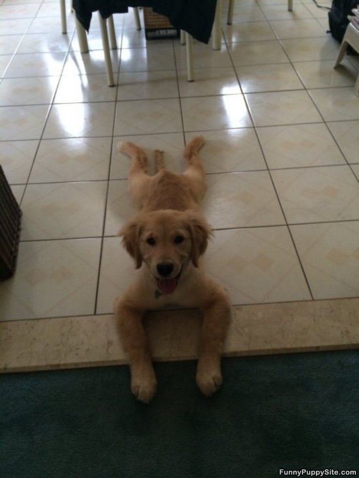 Well Hello There People