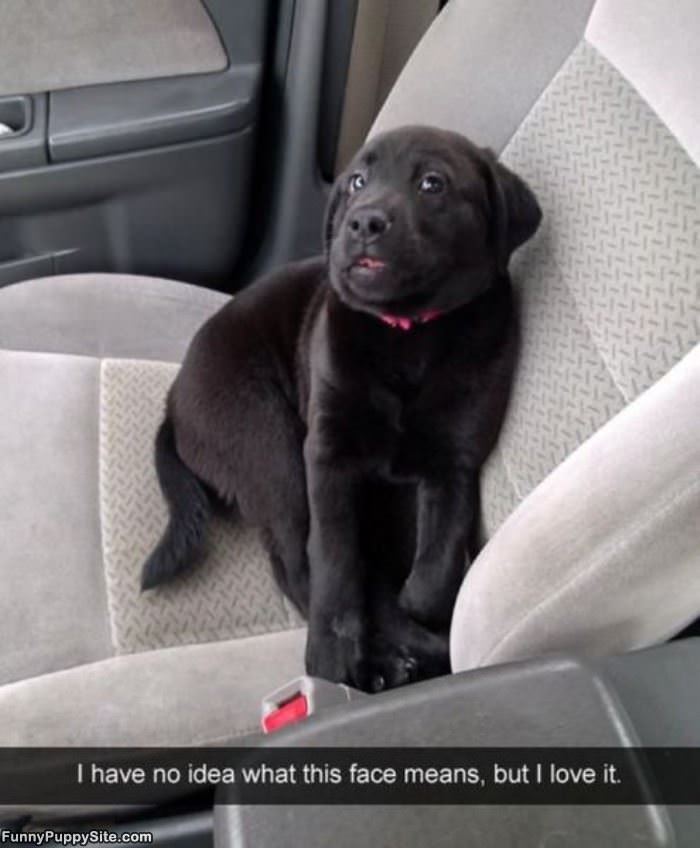 What This Face Means