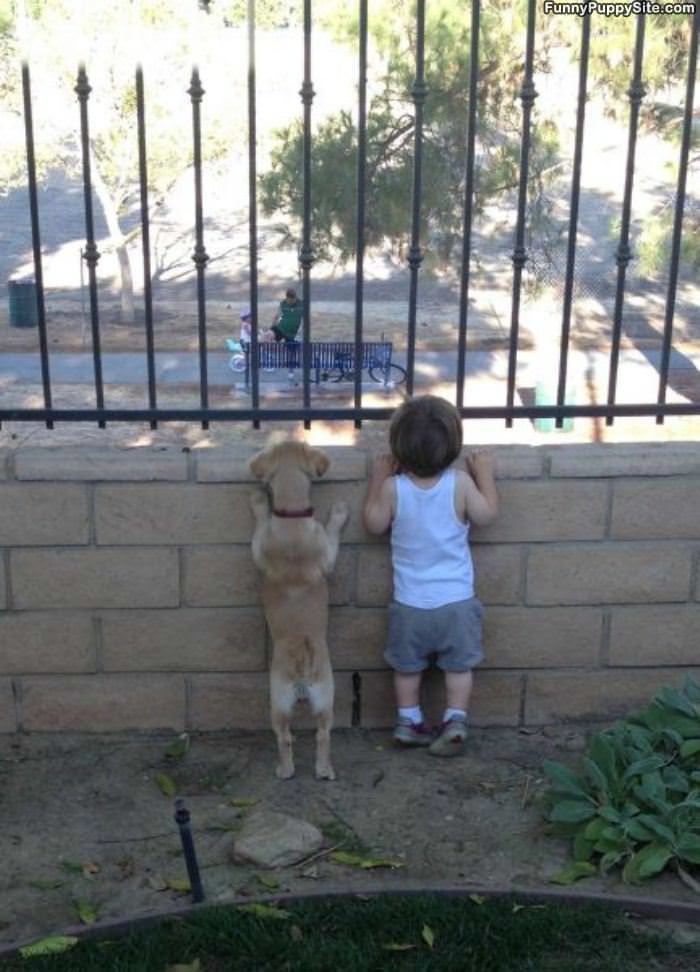 Whats Going On Down There