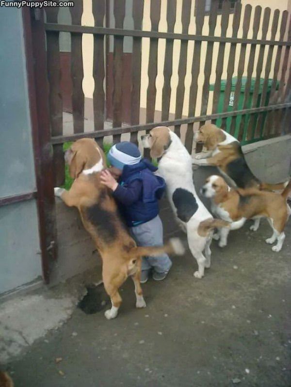 Whats Out There