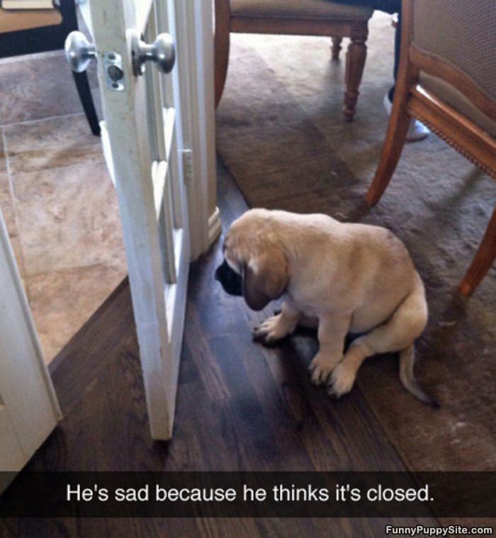 Why Hes Sad