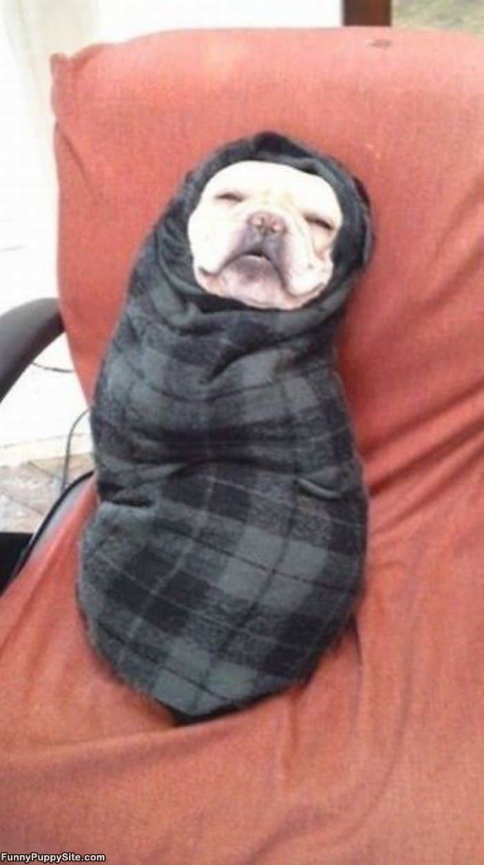 Wrapped Like A Burrito