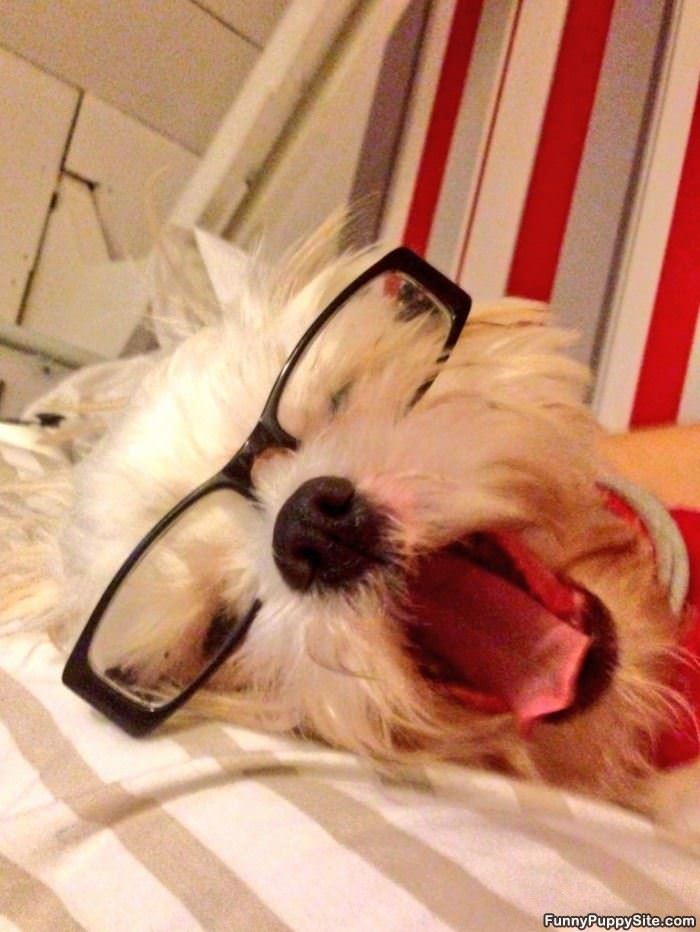 Yawnnnnnz