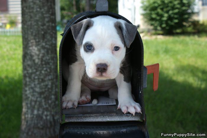 You Got Mail