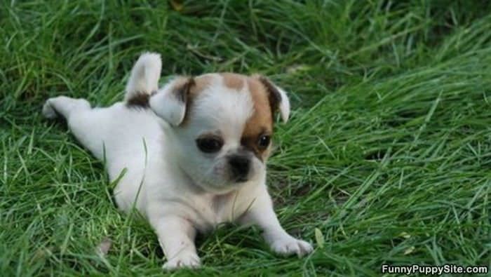 Yup Im Cute