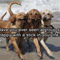 A Group With A Stick
