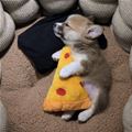 Asleep With My Pizza