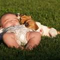 Baby And Puppies