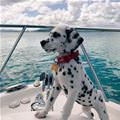 Boat Time