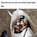 Can We Check Your Bag