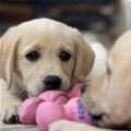 Can We Share