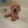 Cutest Bath Time Ever