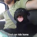 First Car Ride Home