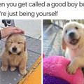 Getting Called A Good Boy