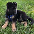 Going To Grow Into It