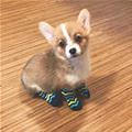 I Has Some Socks