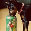 I Want 7 Up