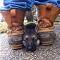 I Will Hide Here