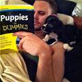 Puppies For Dummies