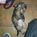 Rawrrr