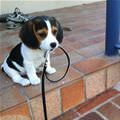 So Super Cute
