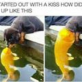 Started With A Kiss