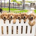 The Fence Of Puppies