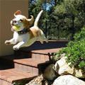 The Flying Puppy
