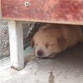 Under The Table