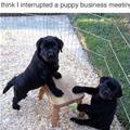 Very Important Business Meeting
