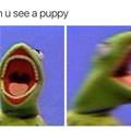 When You See A Puppy